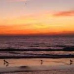 Profile Picture of Sean Shanahan (@spshanahan) on Instagram