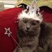 Profile Picture of Julia Frankel (@julia_frankel6) on Pinterest