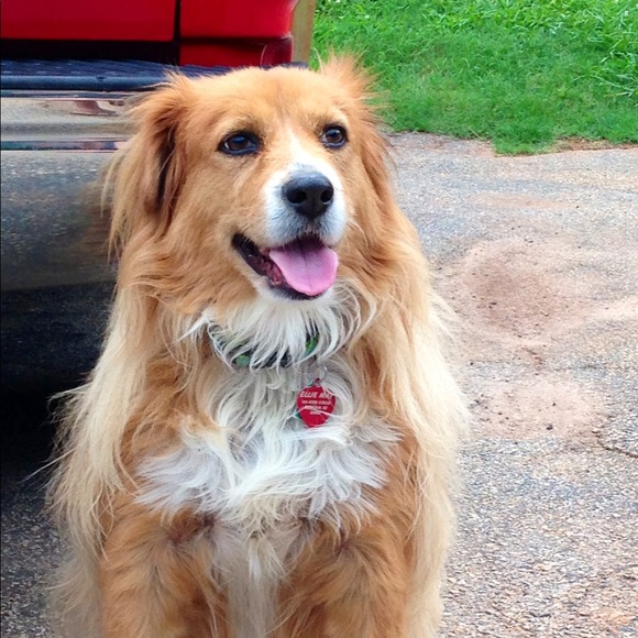 Profile Picture of Lewis Howell (@lewlewlewis) on Poshmark