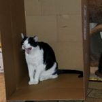 Profile Picture of William Dunham (@william.dunham) on Instagram