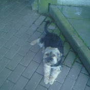 Profile Picture of Lara Dahlmanns (@laradahlmanns9965) on Youtube