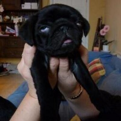 Profile Picture of Hanna Wade (@whatevur_lol) on Twitter