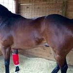 Profile Picture of Juan Luviano (@juan.luviano) on Instagram