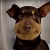 Profile Picture of Zach Barber (@zachhaircutter) on Tiktok