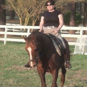Profile Picture of Susie Wilcher (@suebellabradors) on Pinterest