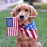 Profile Picture of Bryan fenton (@bryanpfenton8296) on Pinterest
