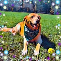 Profile Picture of Matthew Kubiak (@matthew-kubiak-1) on Quora