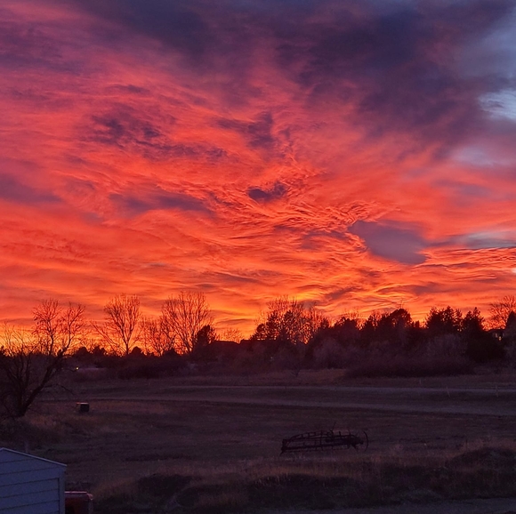 Profile Picture of Stacy Hazen (@stacy_hazen) on Poshmark