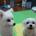 Profile Picture of Lee Jim (Jim) (@lee.jim.5) on Facebook