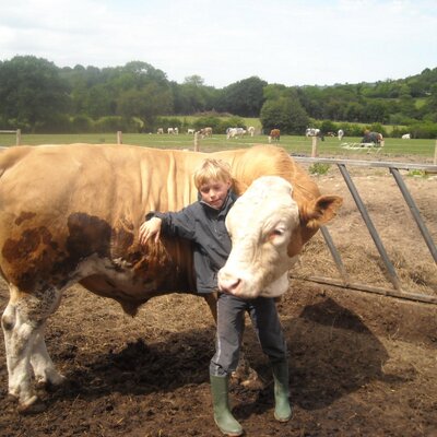 Profile Picture of Ivan Williamson (@ivanpark2014) on Twitter