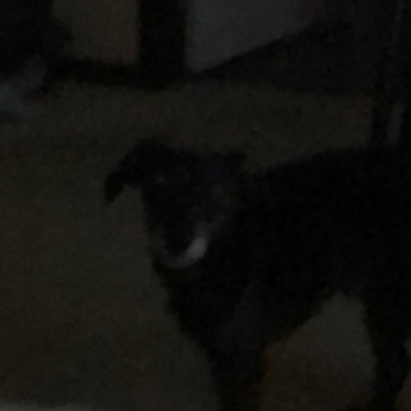 Profile Picture of Allen Leverty (@aleverty) on Poshmark