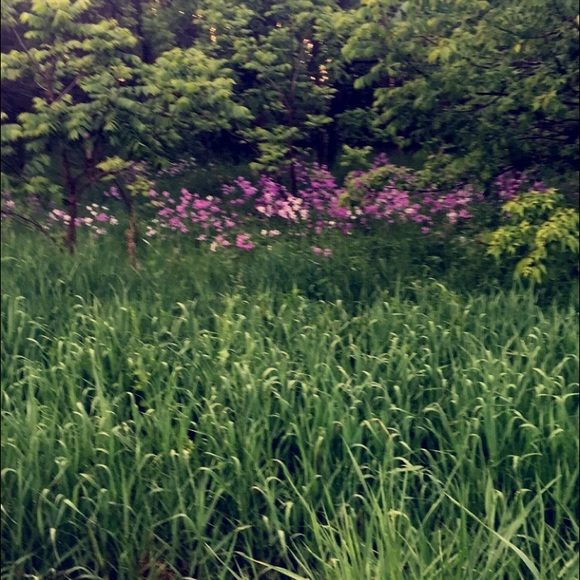 Profile Picture of Esmeralda Lazcano (@esme_00) on Poshmark