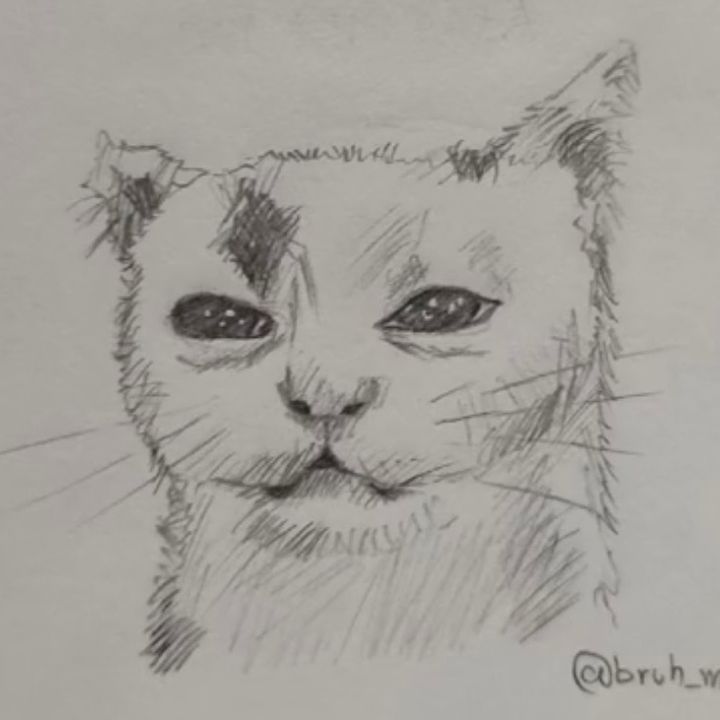 Profile Picture of Marcus Keene (@flimsycrop) on Tiktok
