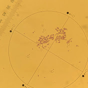 Profile Picture of Matt Alward (@mattalward3777) on Youtube