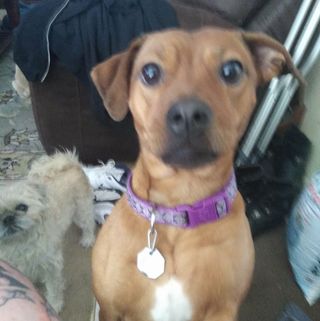 Profile Picture of Curt Clemens (@curt.clemens.9) on Facebook