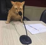 Profile Picture of Lucas Han (@Lucas-Han) on Facebook