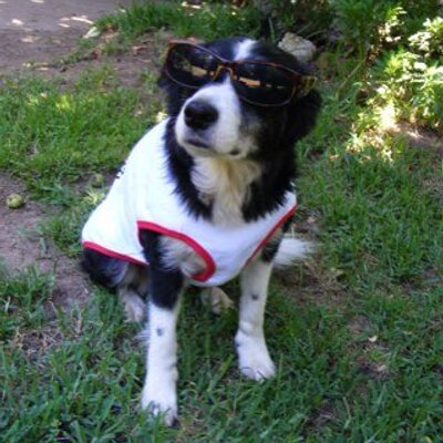 Profile Picture of Ann Irvine (@enagennabunny) on Twitter