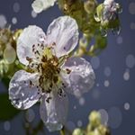 Profile Picture of James Miller (@molchanovoborisrafael) on Instagram