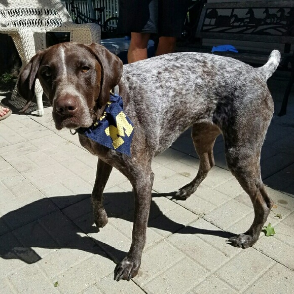 Profile Picture of Jessie Gruca (@runjabes13) on Poshmark