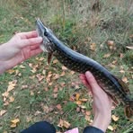 Profile Picture of Michał Szatkowski (@Michał-Szatkowski) on Facebook