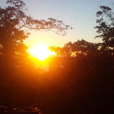 Profile Picture of Jeff Hunter (@jeffahunter) on Twitter