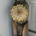 Profile Picture of Paul Kiley (@kiley1141) on Pinterest