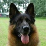 Profile Picture of kenny cooper (@kennycooper11) on Instagram