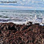 Profile Picture of Dcojris Galifost (@dcojrisgalifost6654) on Instagram