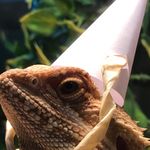 Profile Picture of Luke Oberleitner (@lukeoberleitner) on Instagram