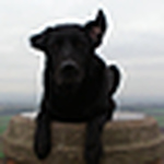 Profile Picture of James Forrest (@dechmonthouse) on Flickr