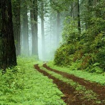 Profile Picture of Rob Jacobson (@robtaxman) on Twitter