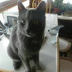 Profile Picture of Mitzi Hess (@mitzi.hess.12) on Facebook