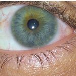 Profile Picture of Octavio Vera (@photocam7701) on Instagram