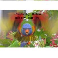 Profile Picture of Scott Burley (@burley1213) on Pinterest