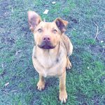 Profile Picture of Randy Davies (@_randy_2016) on Instagram