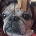 Profile Picture of Wendy Patterson (@wendy.patterson.98) on Facebook