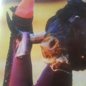 Profile Picture of Peter Griffiths (@griffo963) on Twitter