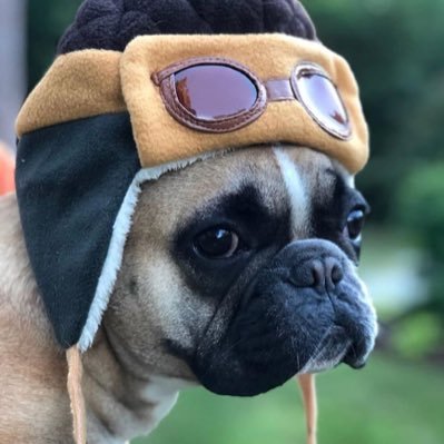 Profile Picture of Dave Fenster (@holddamustard) on Twitter