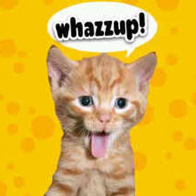 Profile Picture of Ronan Andrew Harvey (@RonanAndrew) on Twitter