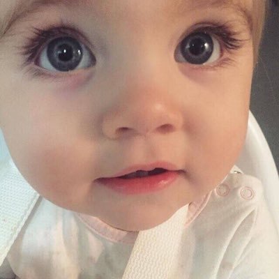 Profile Picture of Rudolf (@rudolf1lee) on Twitter