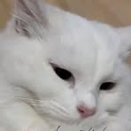 Profile Picture of Eliza Butt (@Eliza-Butt) on Facebook