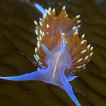 Profile Picture of Jeff Goddard (@jeff goddard 32) on Flickr