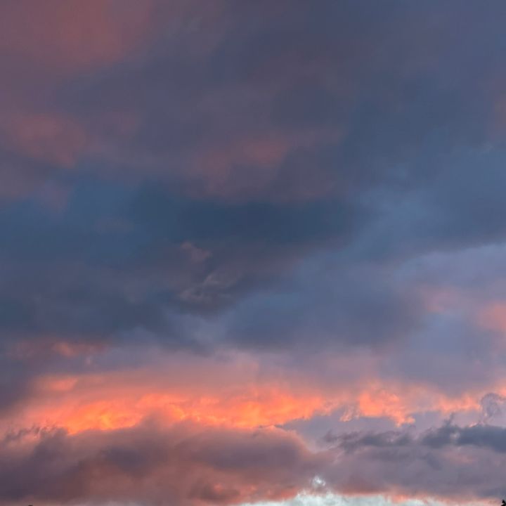 Profile Picture of Taralauren (@tara.collins00) on Tiktok