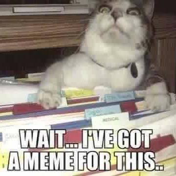 Profile Picture of Jeff Hilborn (@jeff_hilborn) on Twitter