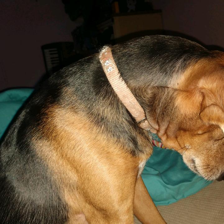 Profile Picture of Jerica jasmine jones (@jericajasminejones) on Tiktok