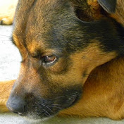 Profile Picture of Mary Poskin (@maryposkin130) on Youtube