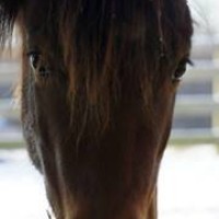 Profile Picture of Lisa Tate (@lisa-tate-2) on Quora