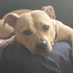 Profile Picture of Michael Blair (@michael.blair.9465) on Instagram