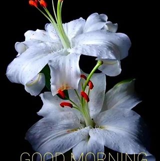 Sunil Sukumaran - Facebook Profile Picture of Sunil Sukumaran (@Sunil-Sukumaran) on Facebook