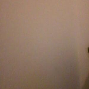 Profile Picture of Luka Myftaraj (@LMyftaraj) on Twitter